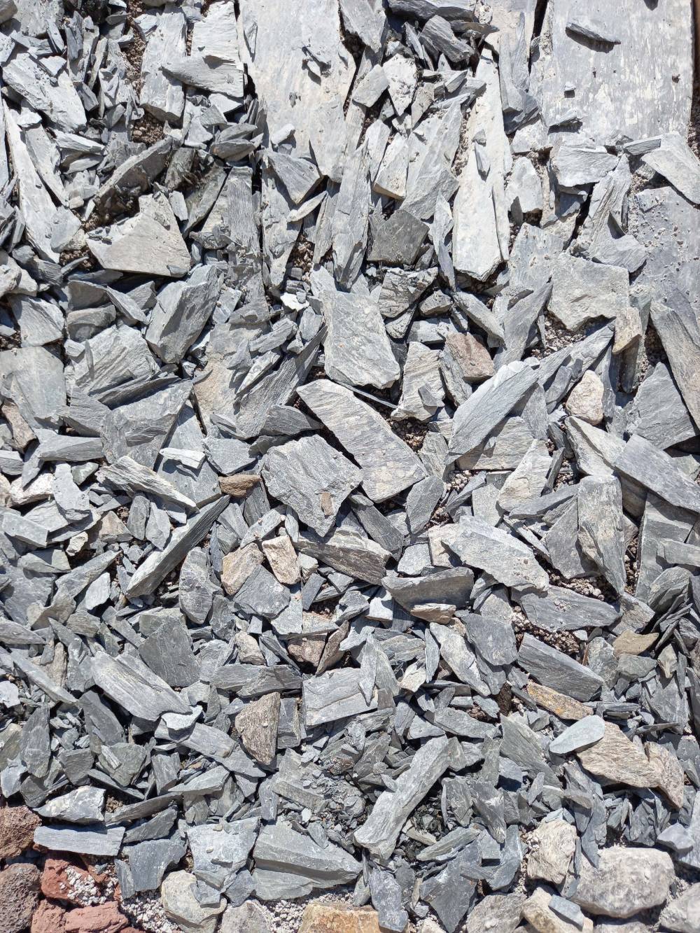 les vans combustibles (5)