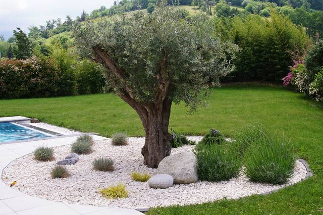 piscine gravier blanc